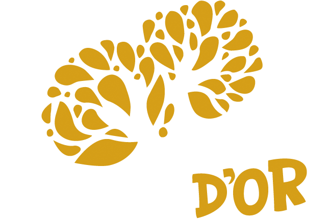 Logo Age d'Or de France